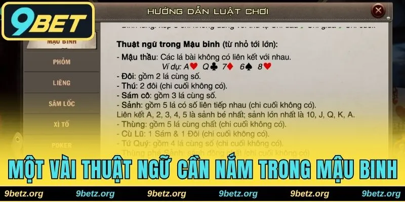 Một số thuật ngữ cần nắm 